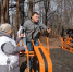 Спортивная тренировка в городском парке - Центр соцобслуживания населения